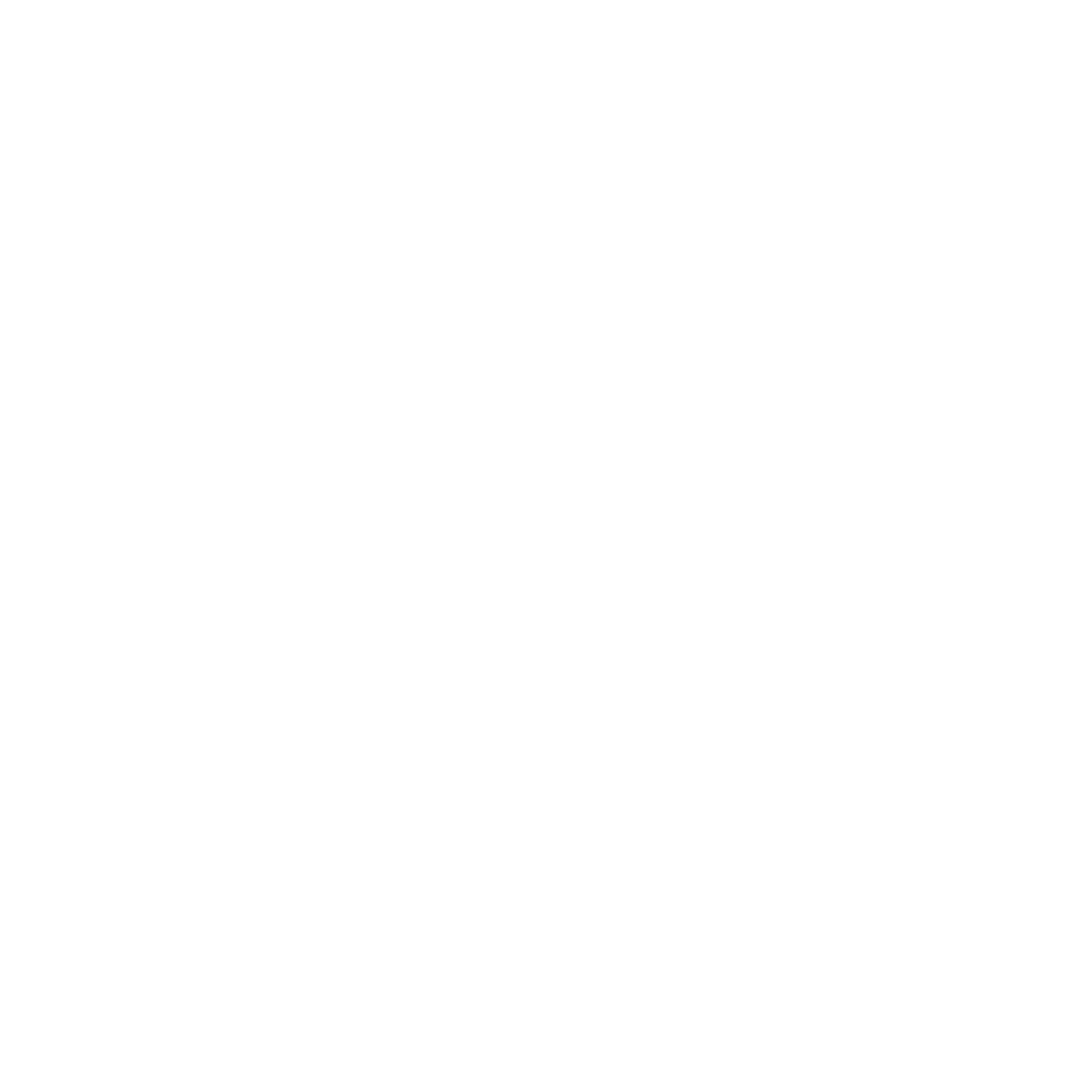 Virtus artisans logo wit