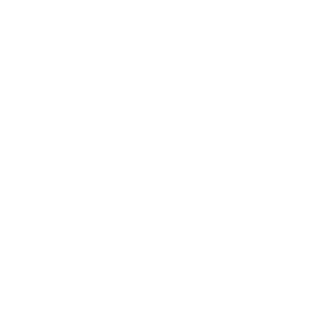 Virtus artisans logo wit
